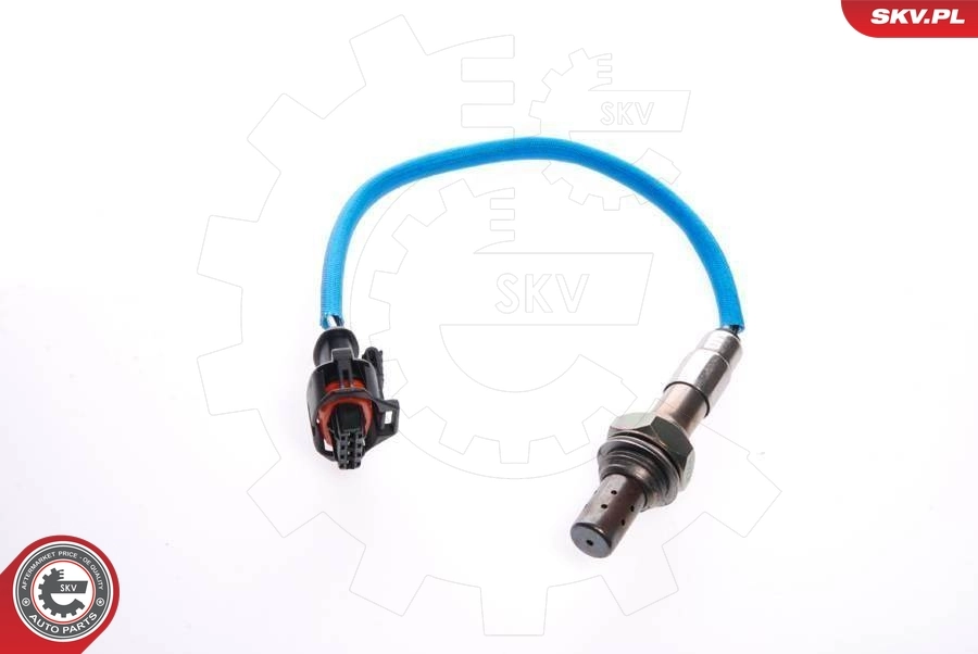 Oxygen Sensor